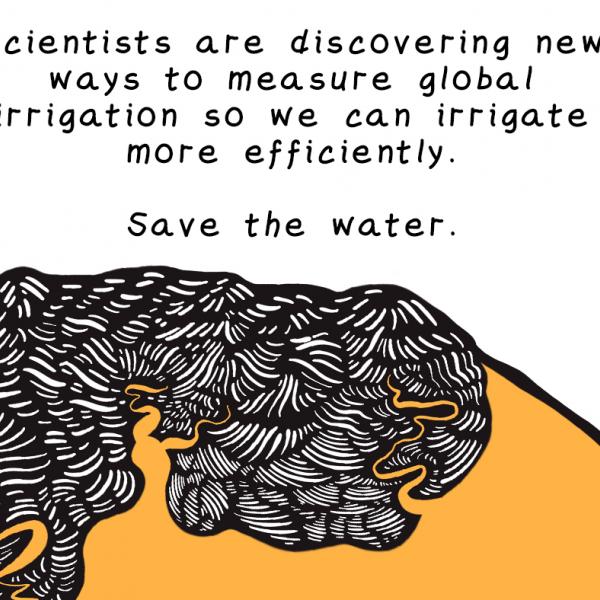How much water are humans using for irrigaiton